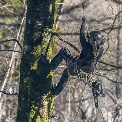 цепная пила для арбориста